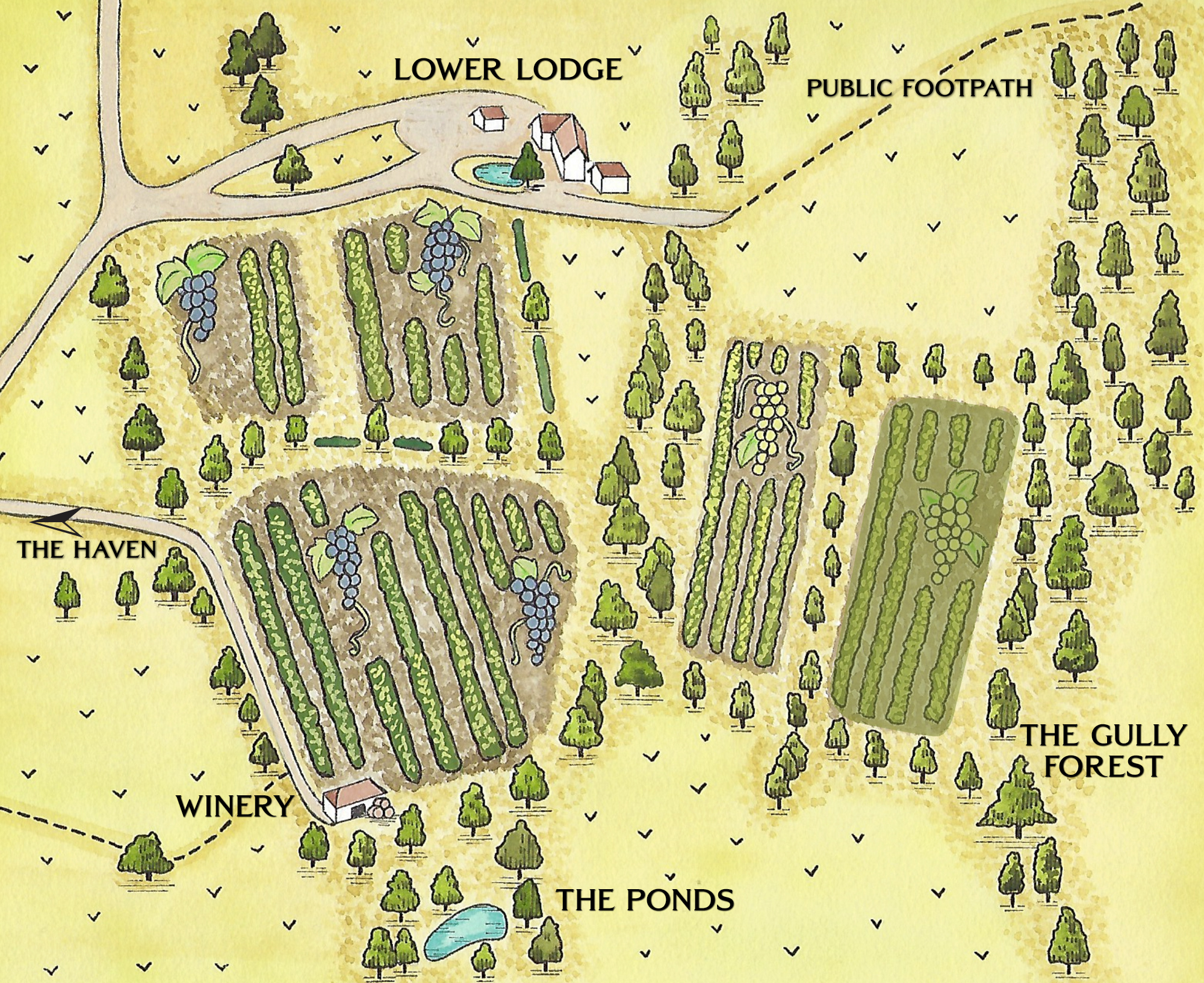 vineyard map